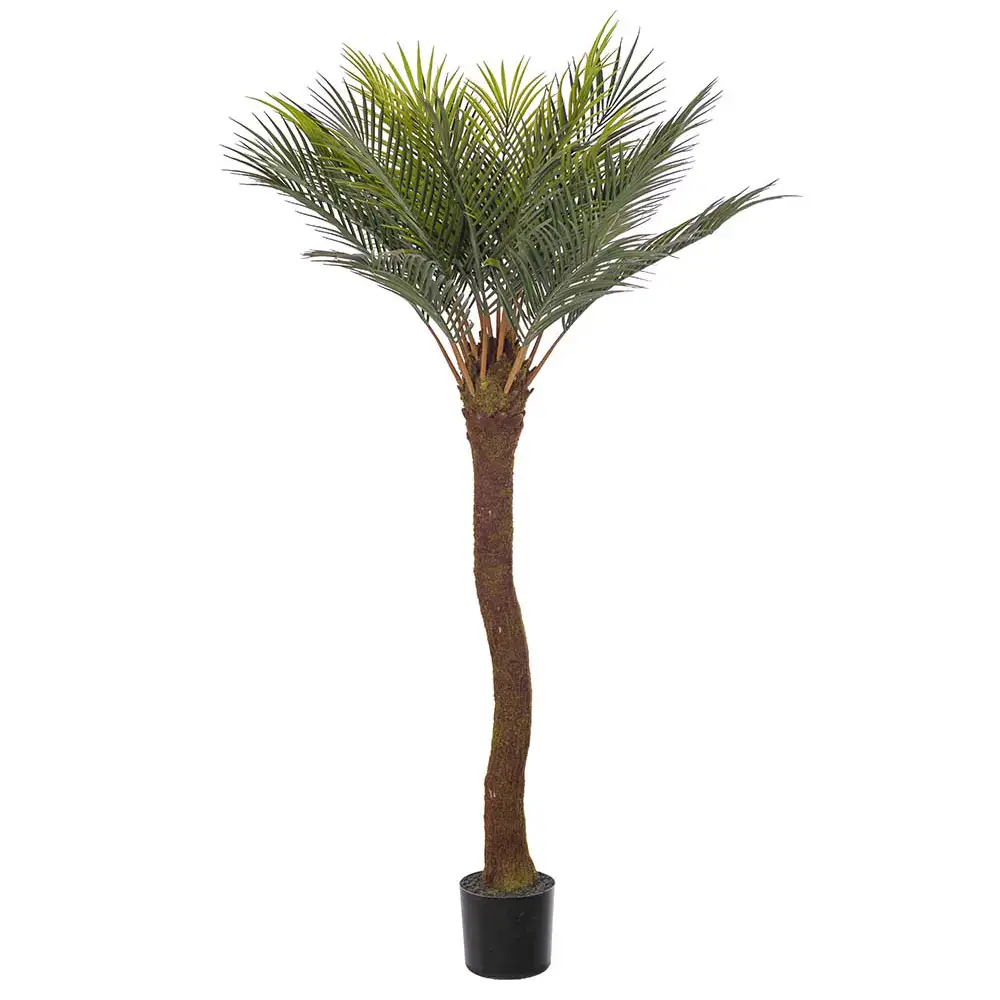 Mr Plant Cycas Palme 120 cm