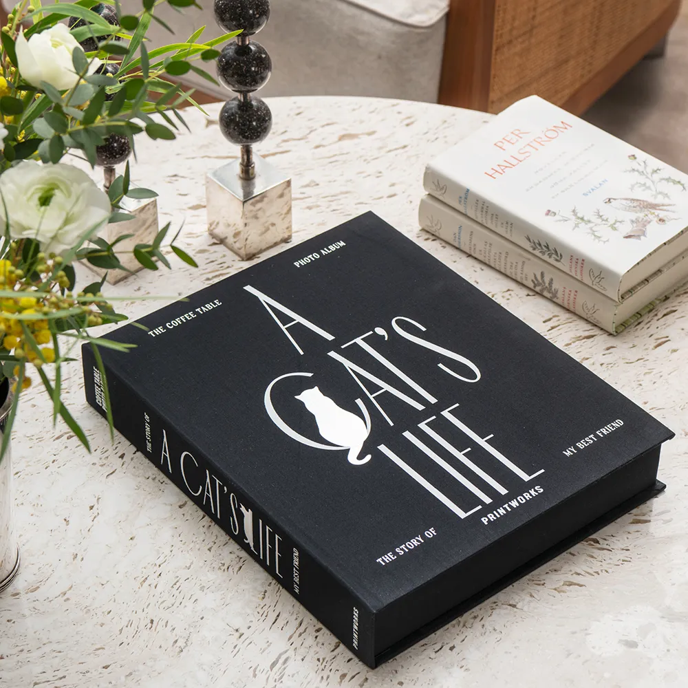  Katte fotoalbum - A Cat's Life