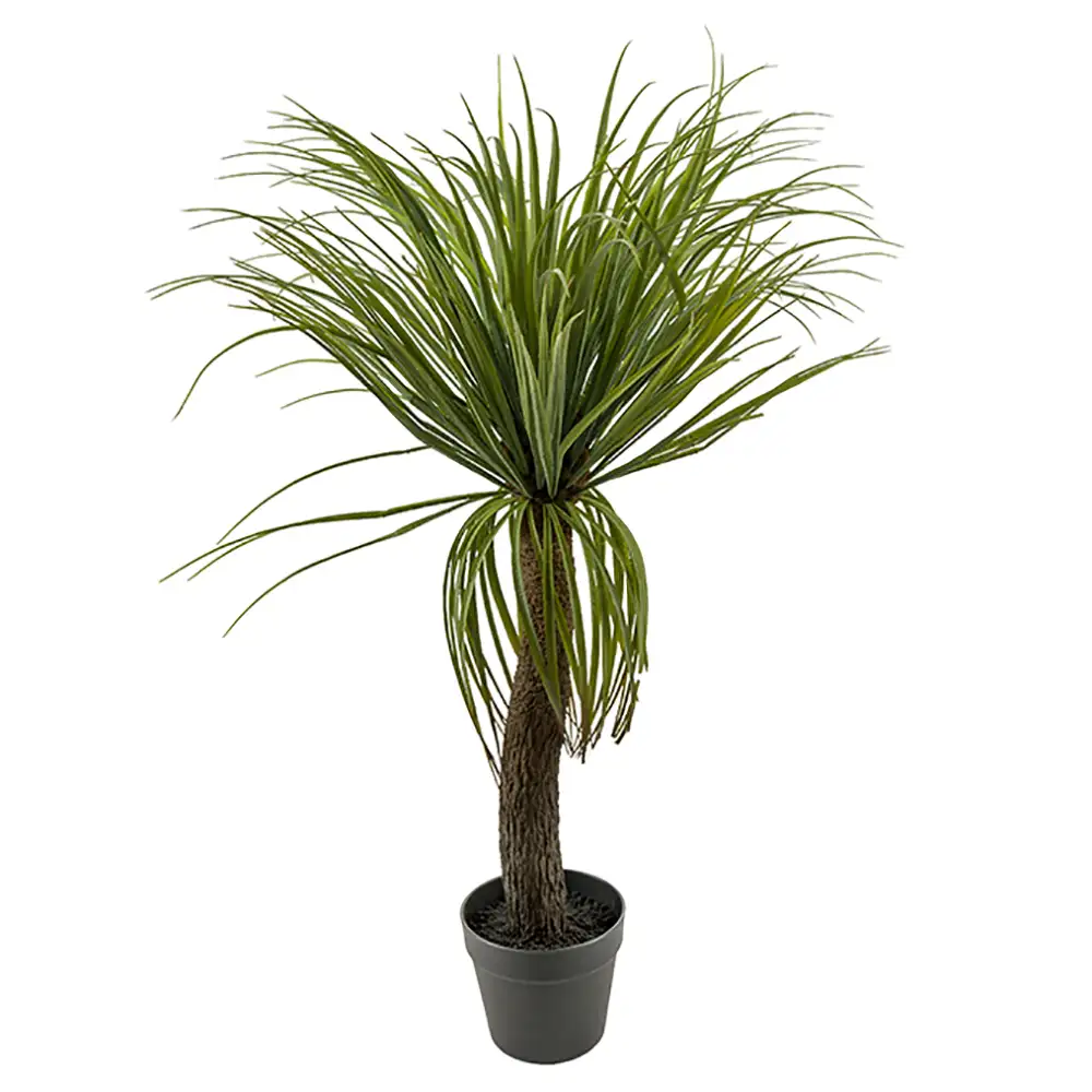 Mr Plant Flaskelilje 90 cm