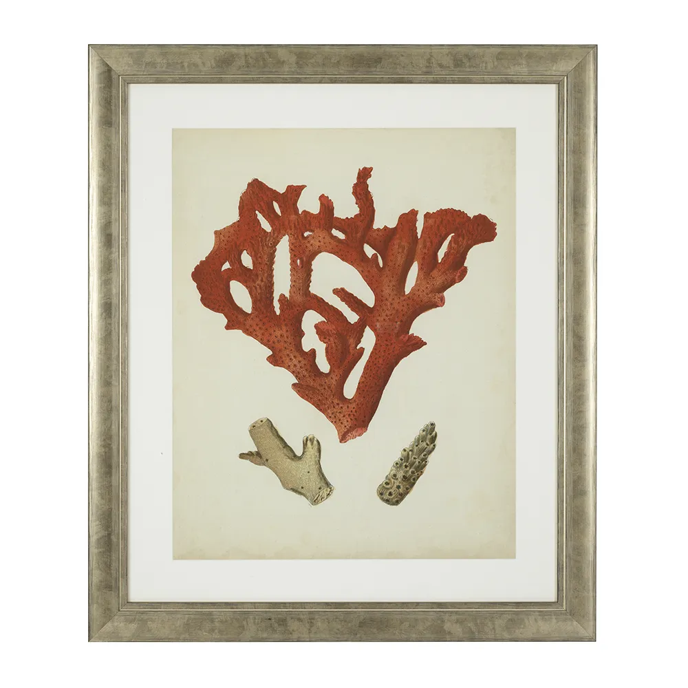 Print Antique Red Corals set of 6