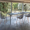 Forest Stol med armlæn Iroko/White