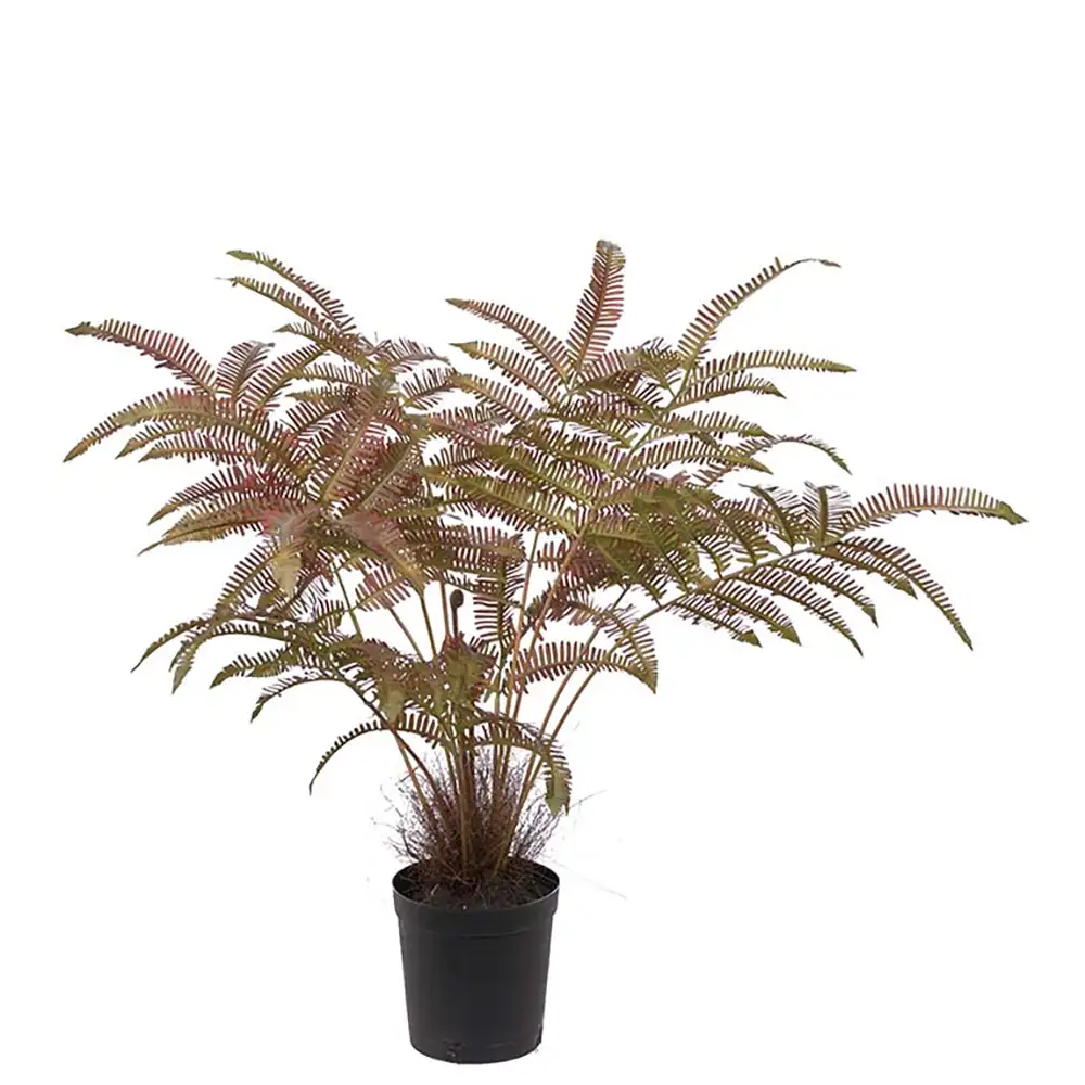 Mr Plant Bregne 70 cm
