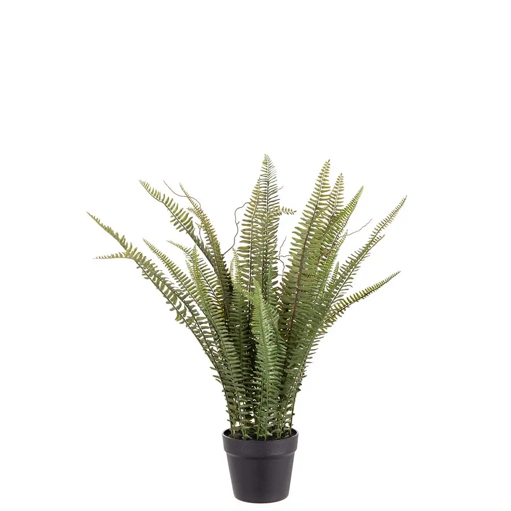 Mr Plant, Bregnepotte 75 cm