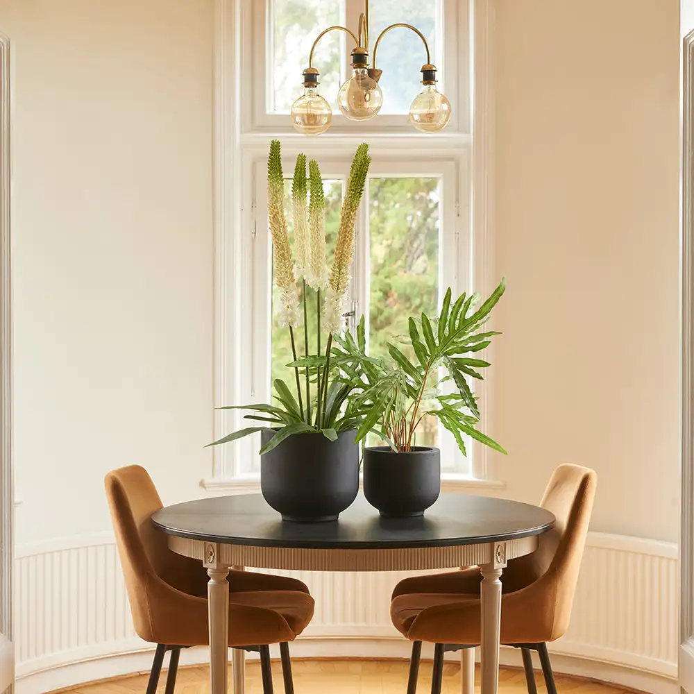 Steppe Lilje Potteplante 95 cm Hvid