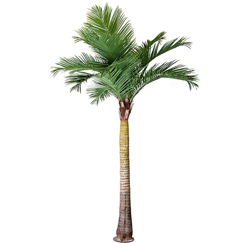 Mr Plant, Palme 370 cm