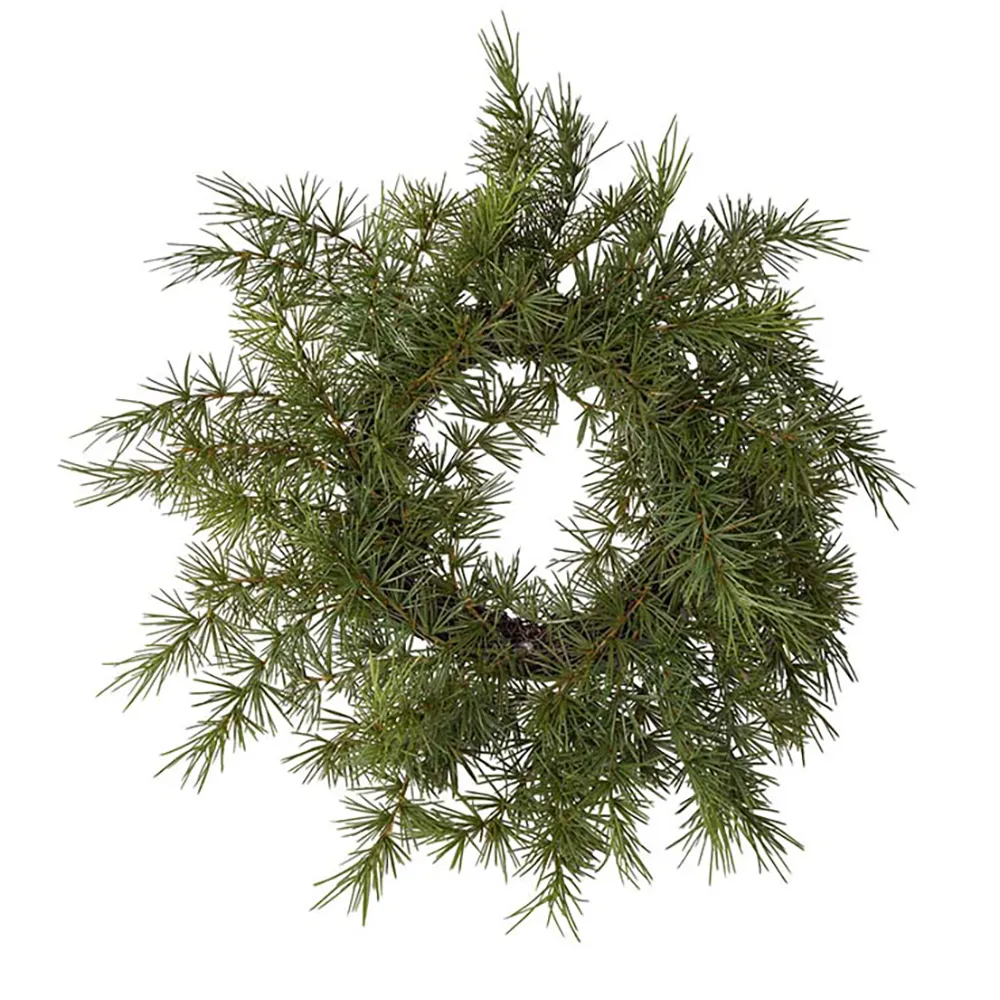 Mr Plant, Krans 45 cm