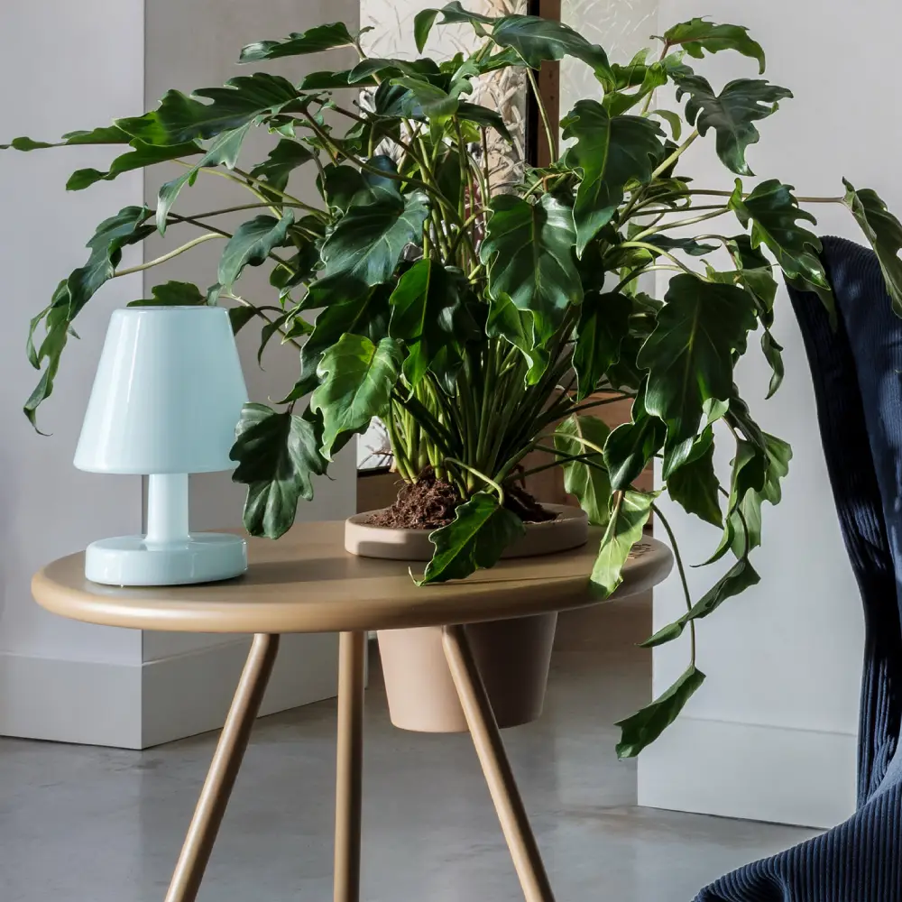 Edison the Ambiance - Bordlampe polar blue