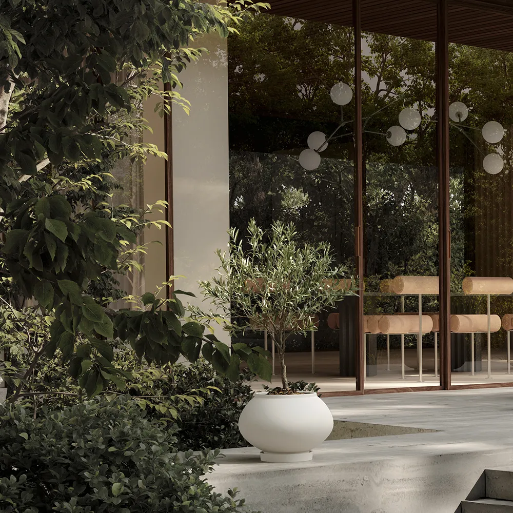 Sunao krukke Fat Medio - Birch