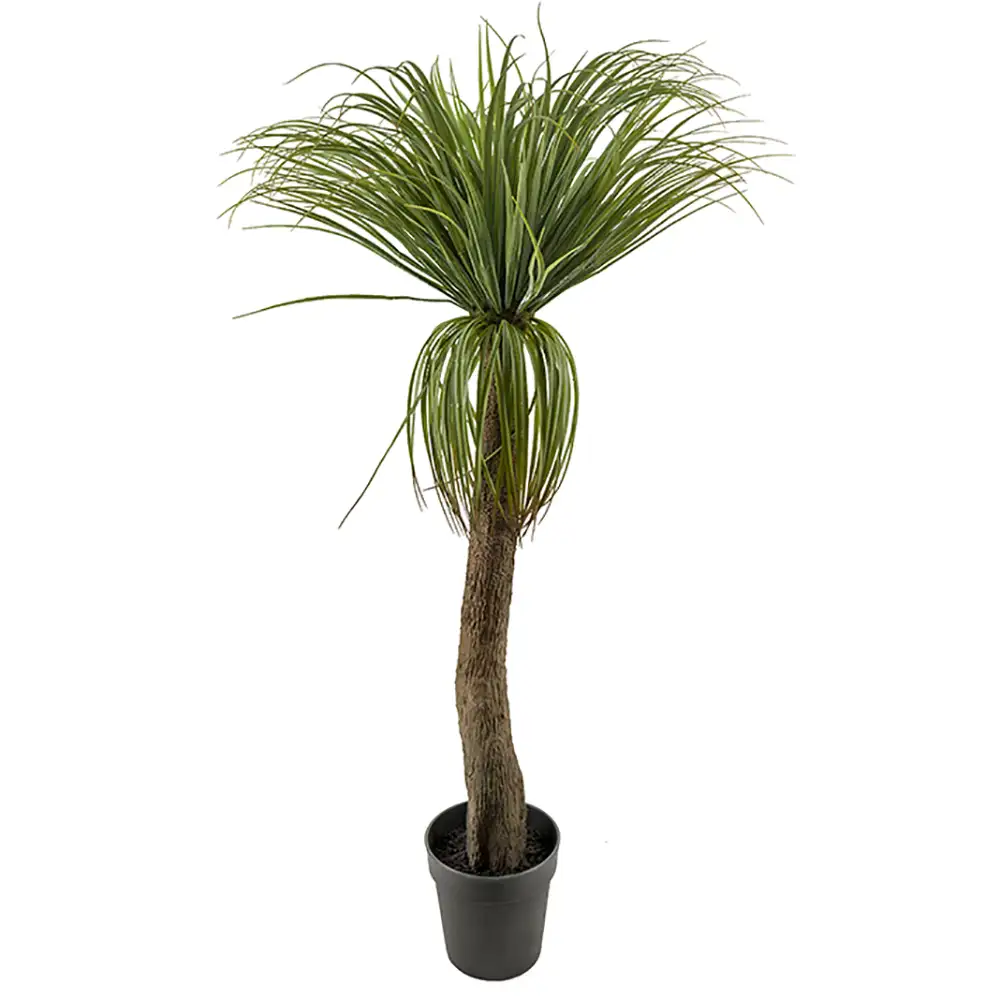 Mr Plant Flaskelilje 130 cm