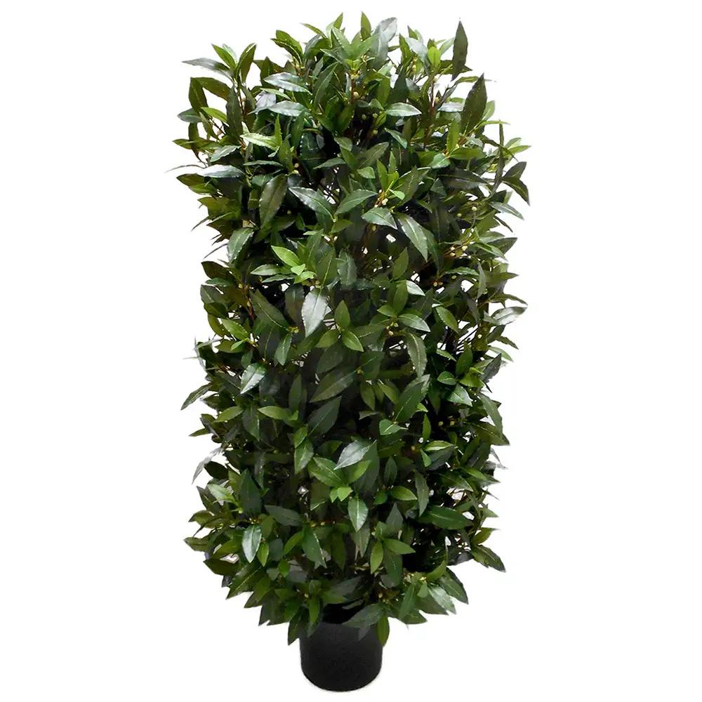 Mr Plant, Lagerbladstræ 110 cm