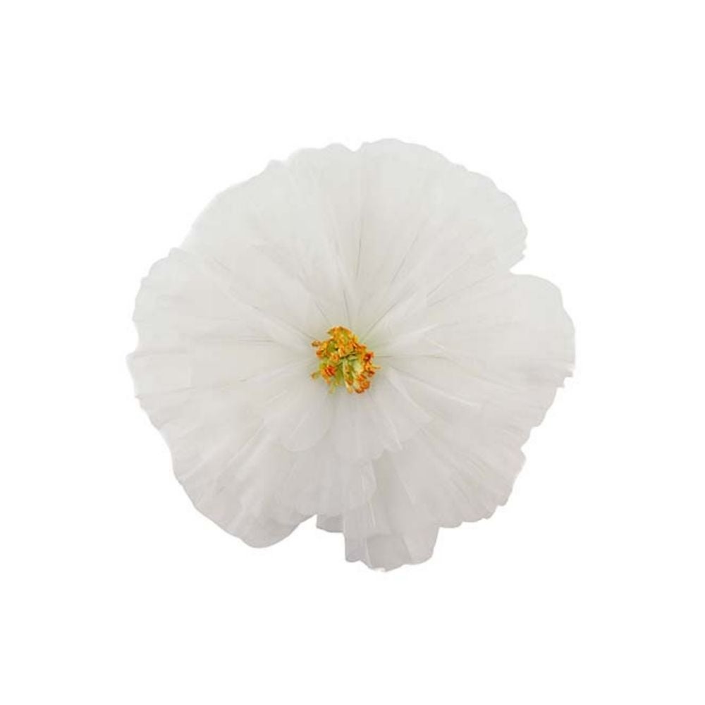 Blomst Daisy væg White