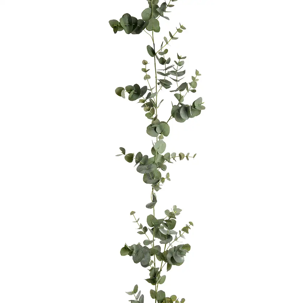 Mr Plant Eukalyptus guirlande