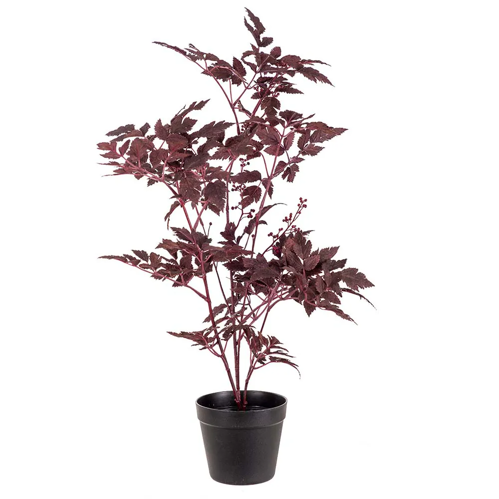 Mr Plant, Silverax potteplante 75 cm