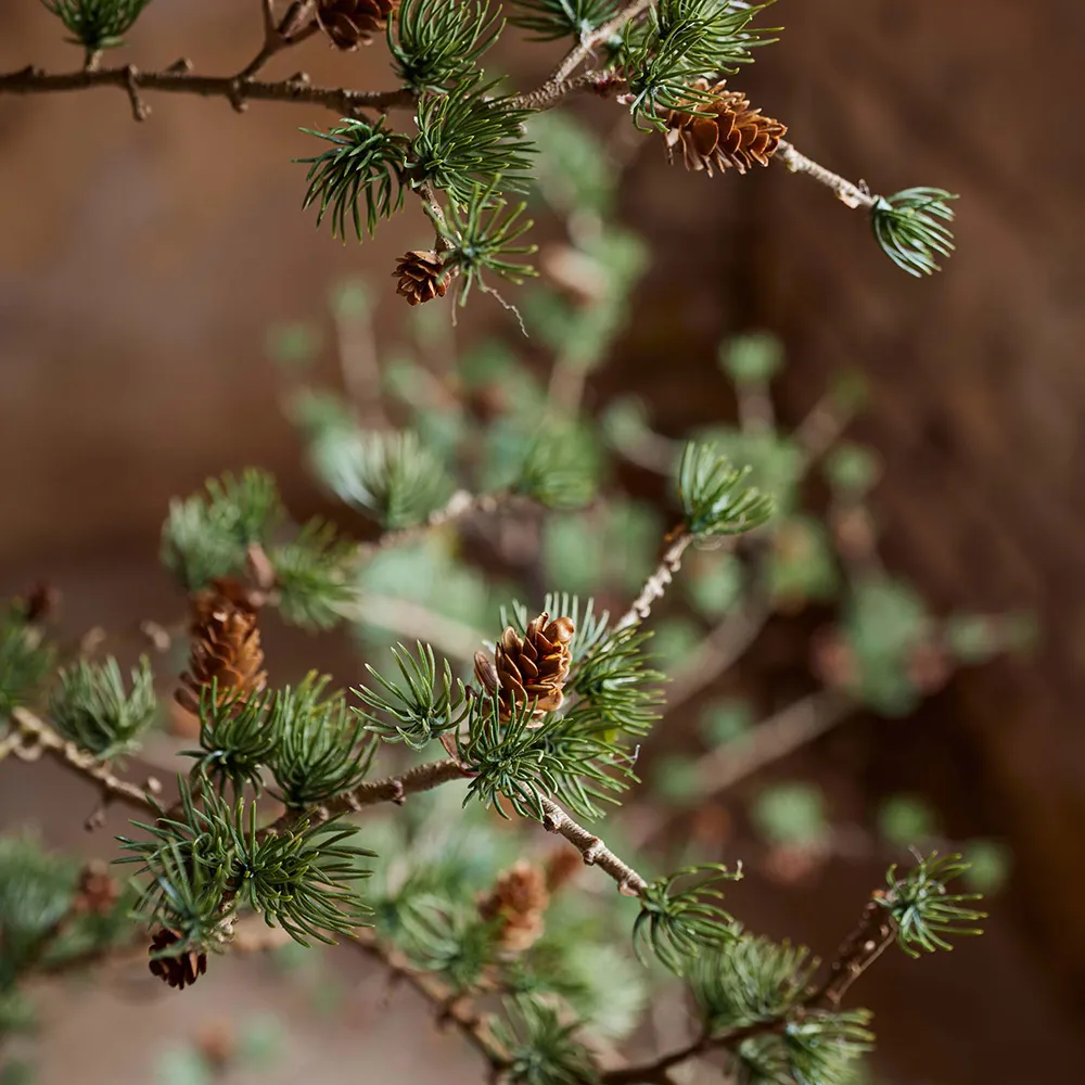 Julekrans med kogler 40 cm