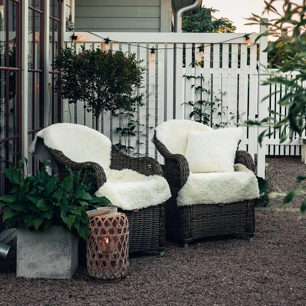 Curly fåreskind 1,5 White