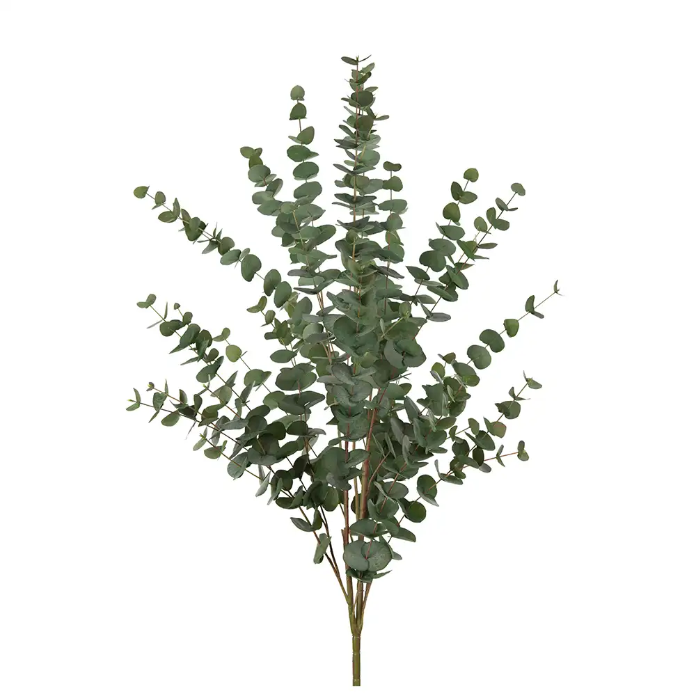 Mr Plant, Eukalyptus Gren 120 cm