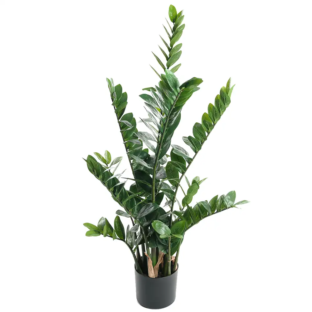 Mr Plant, Zamifolia Potteplante 110 cm