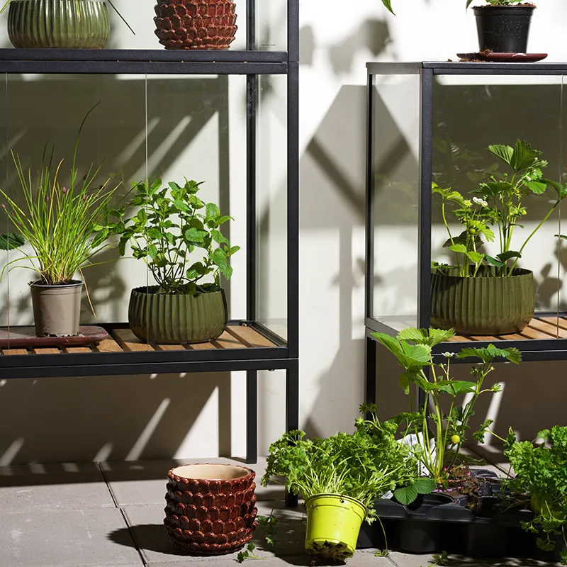 Grower Greens planteskab S sort 