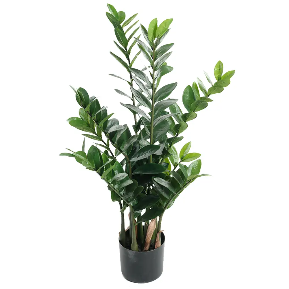 Mr Plant, Zamifolia Potteplante 90 cm
