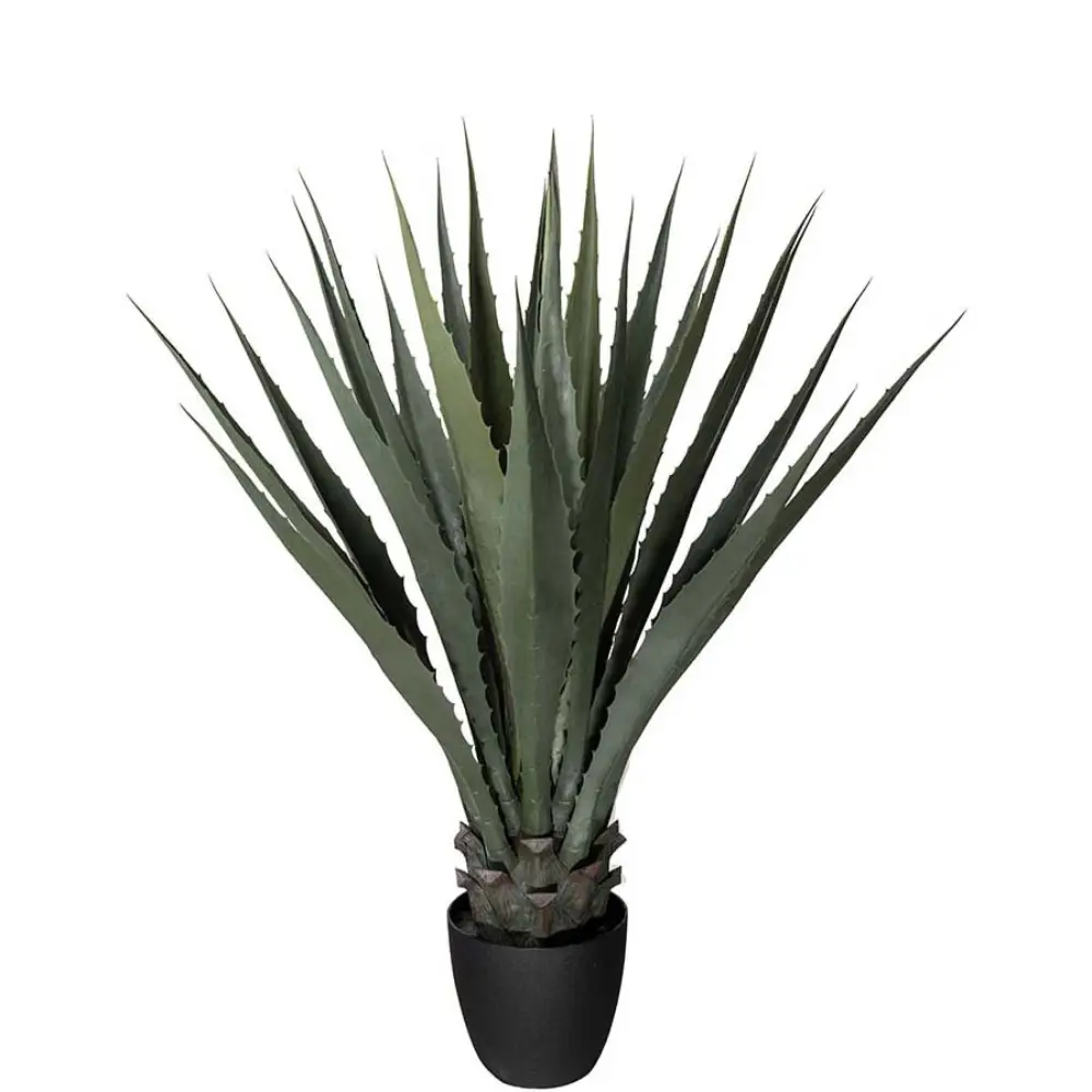 Mr Plant, Agave grøn 100 cm