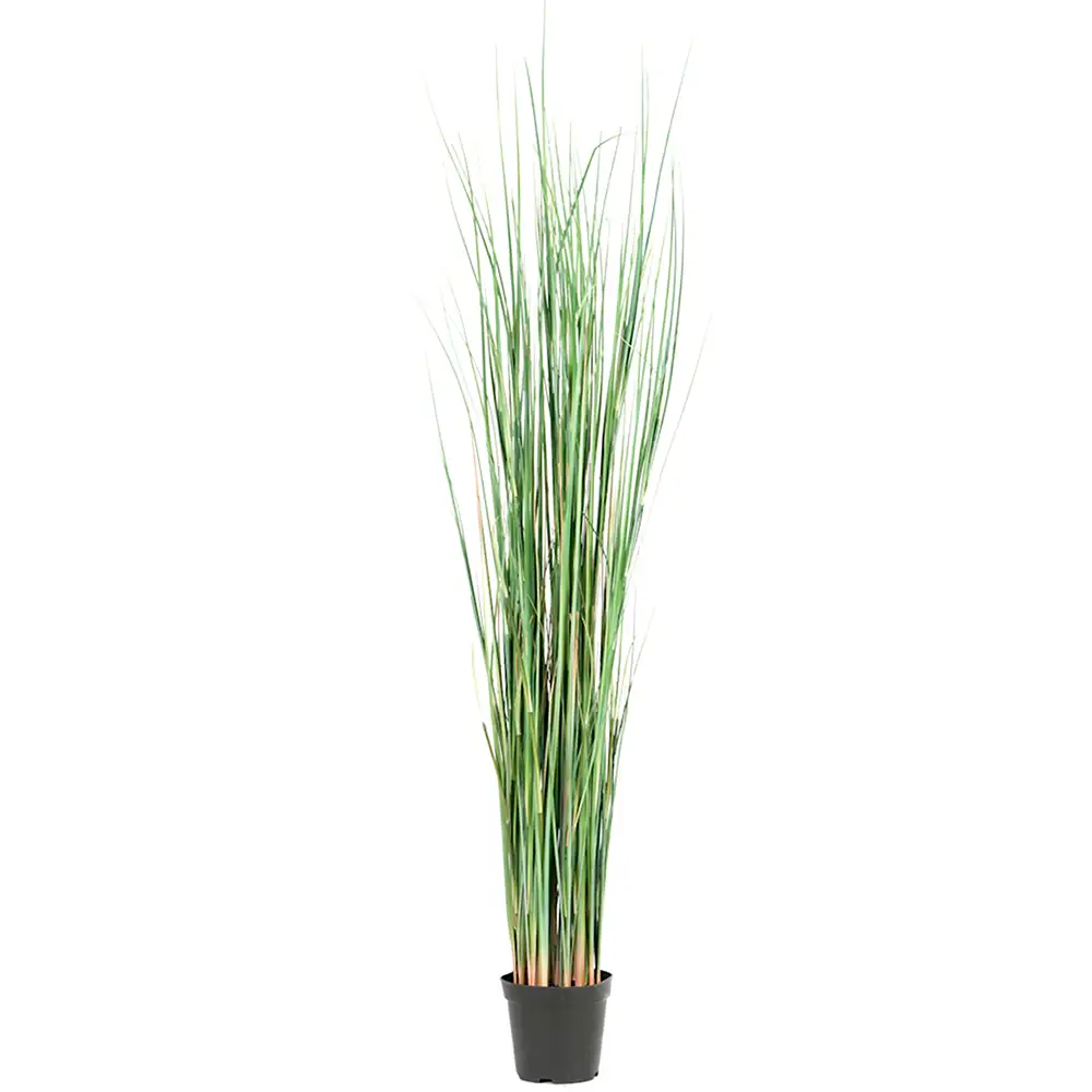 Mr Plant Græs 130 cm