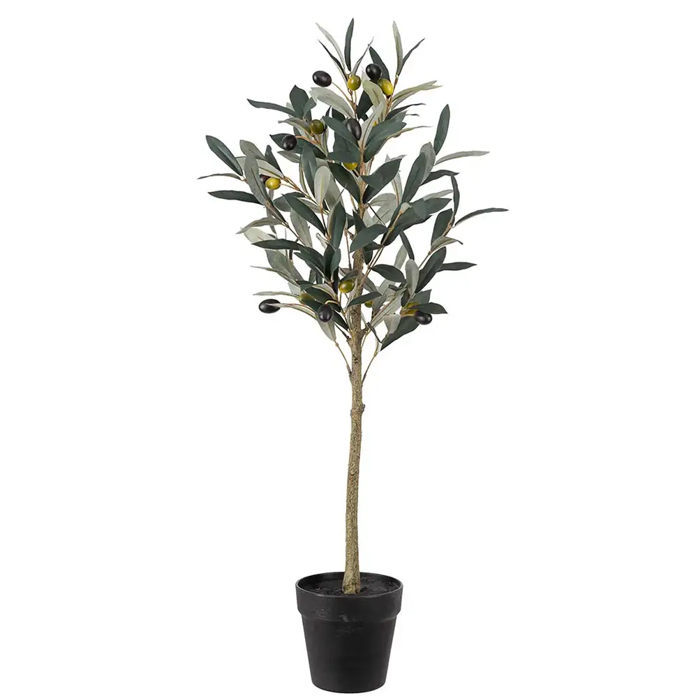 Mr Plant Oliven Potteplante 75 cm