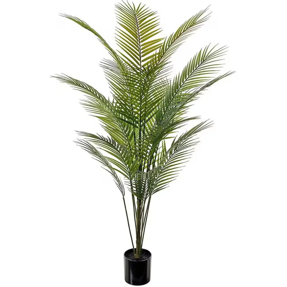 Mr Plant, Bjergpalme Grøn Potteplante 140 cm