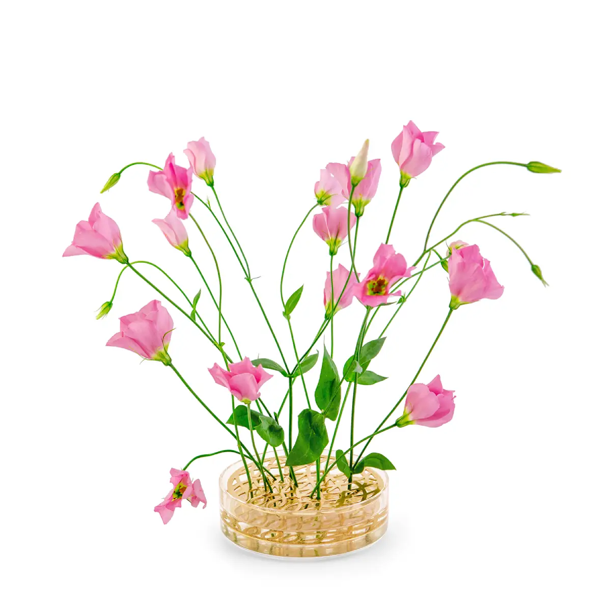 Klong, Äng Pond vase messing