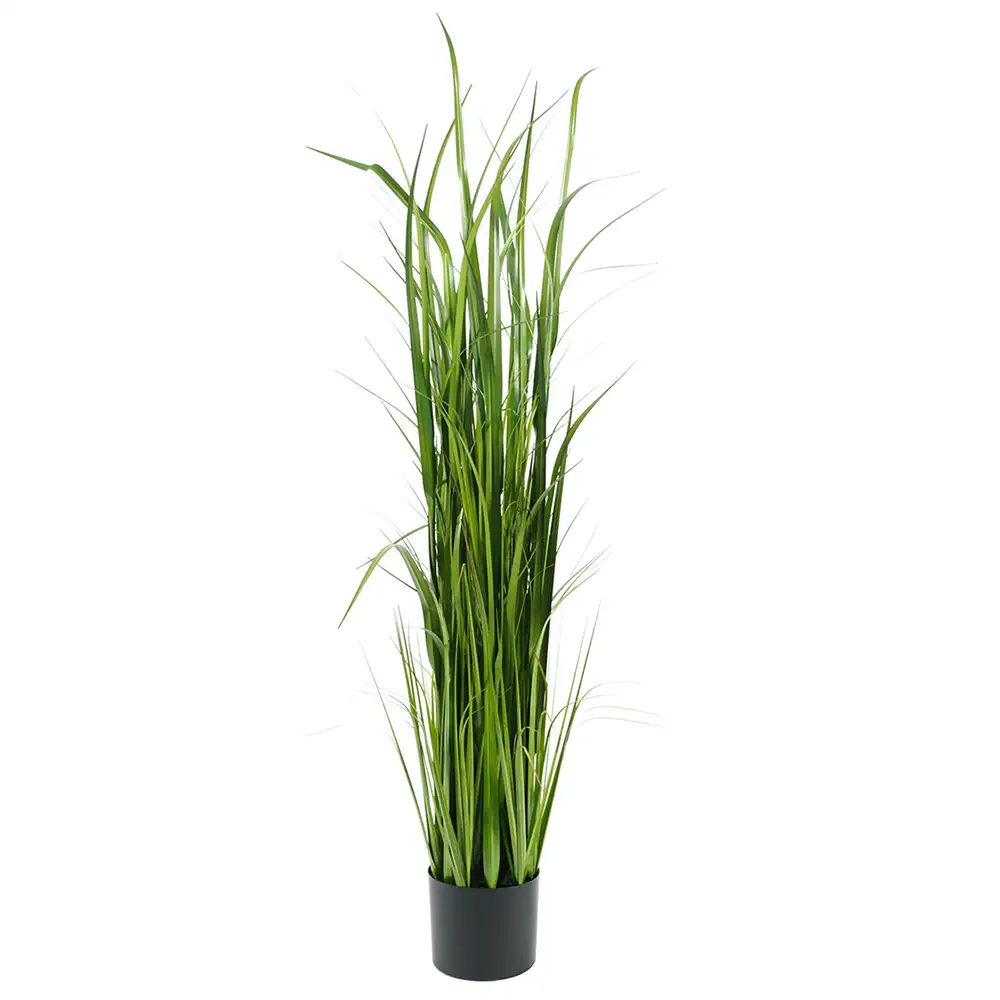 Mr Plant Græs 150 cm