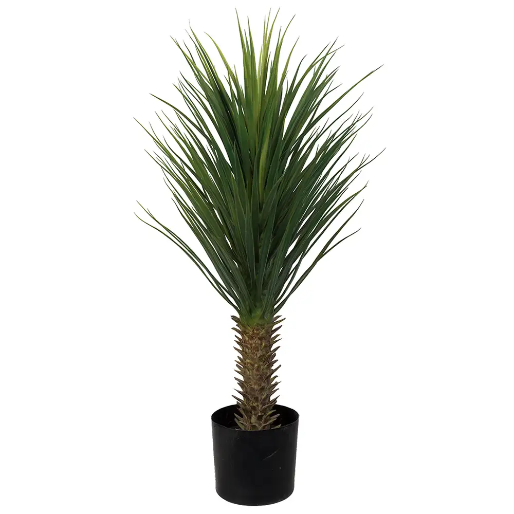 Mr Plant, Yucca Rostrata Træ 100 cm