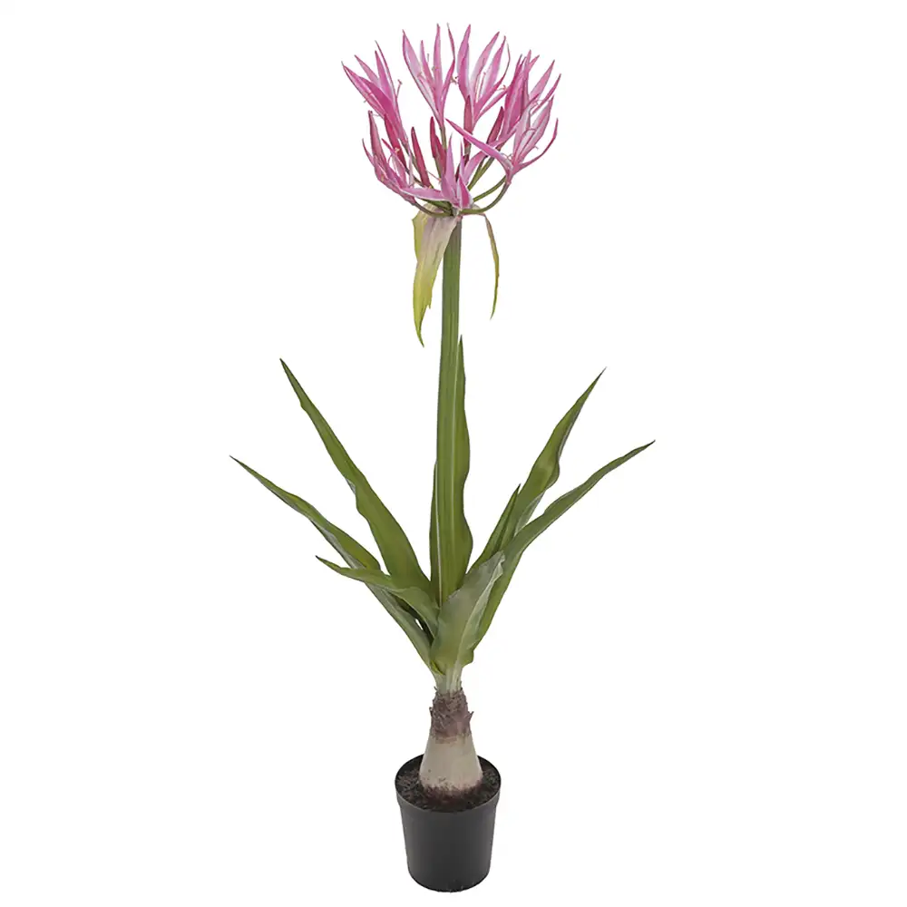 Mr Plant, Nerine Potteplante 125 cm Rosa