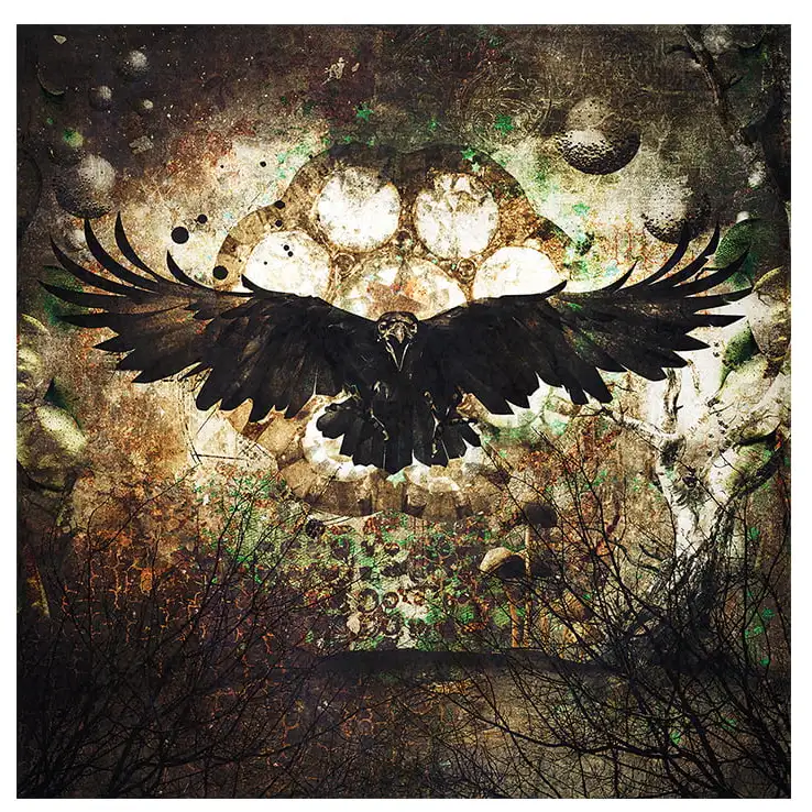 Vægdekoration Raven 120x120 cm Artwood 