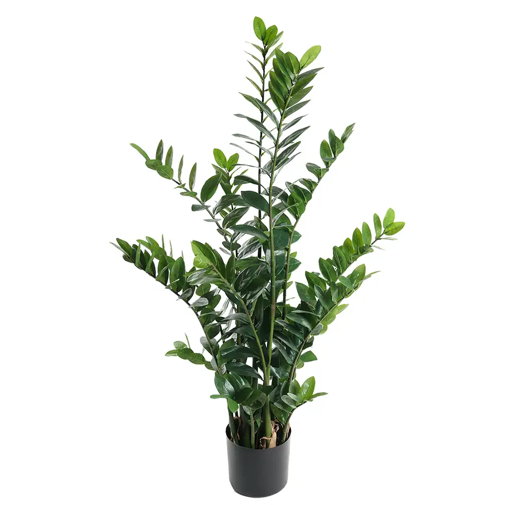 Mr Plant Zamifolia Potteplante 130 cm
