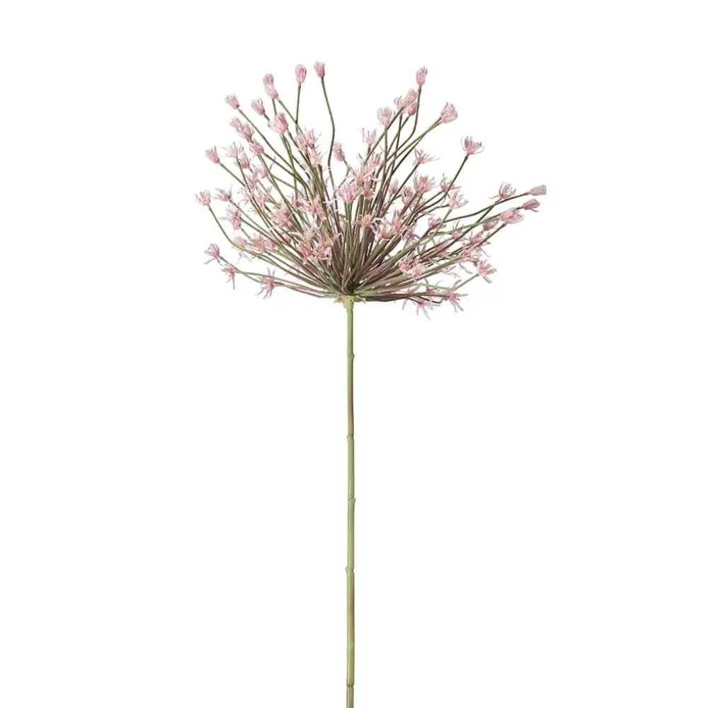 Mr Plant, Allium Pink 125 cm