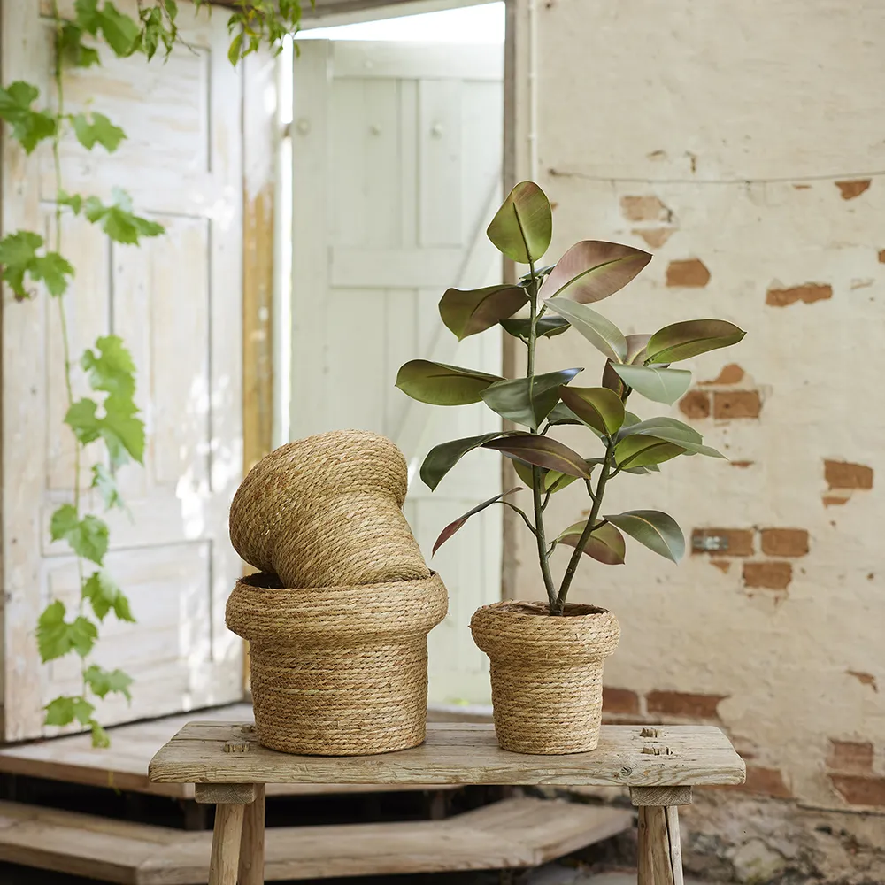 Figen Elastica 120 cm 