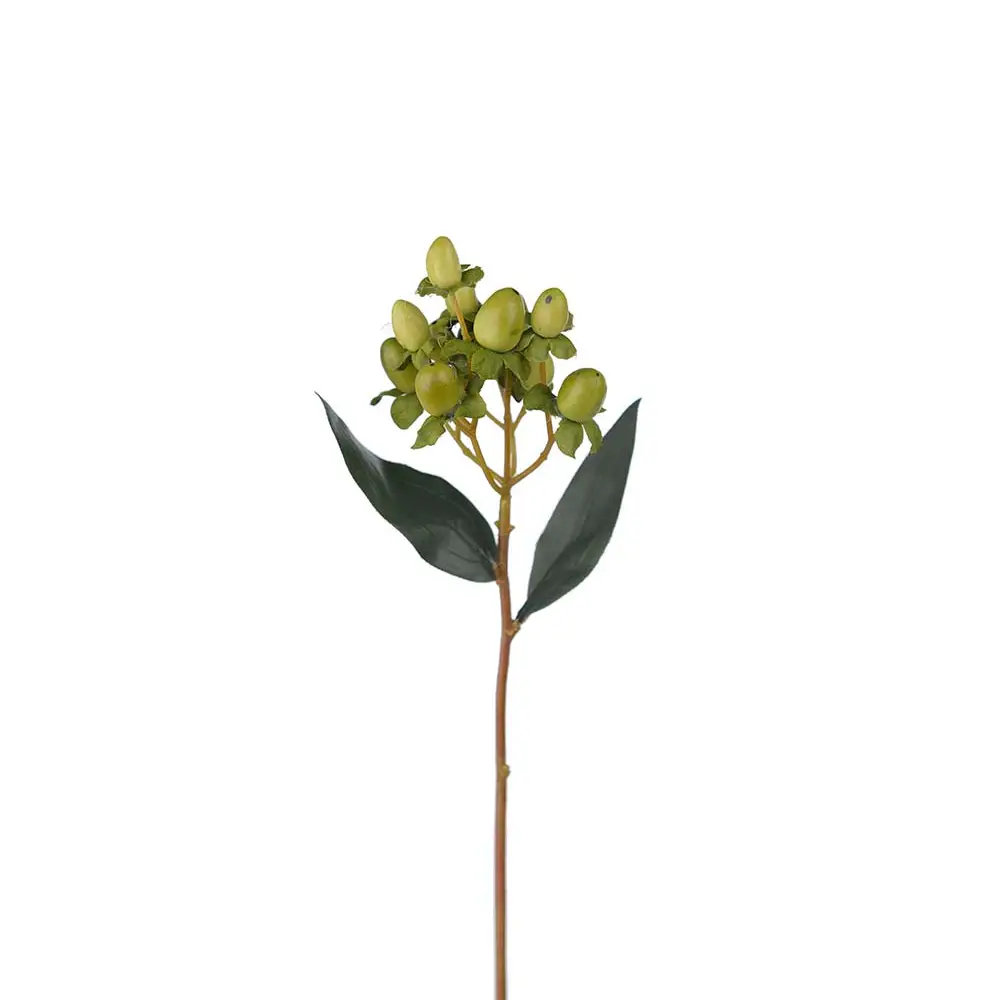 Mr Plant, Hypericum bærkvist 28 cm grøn
