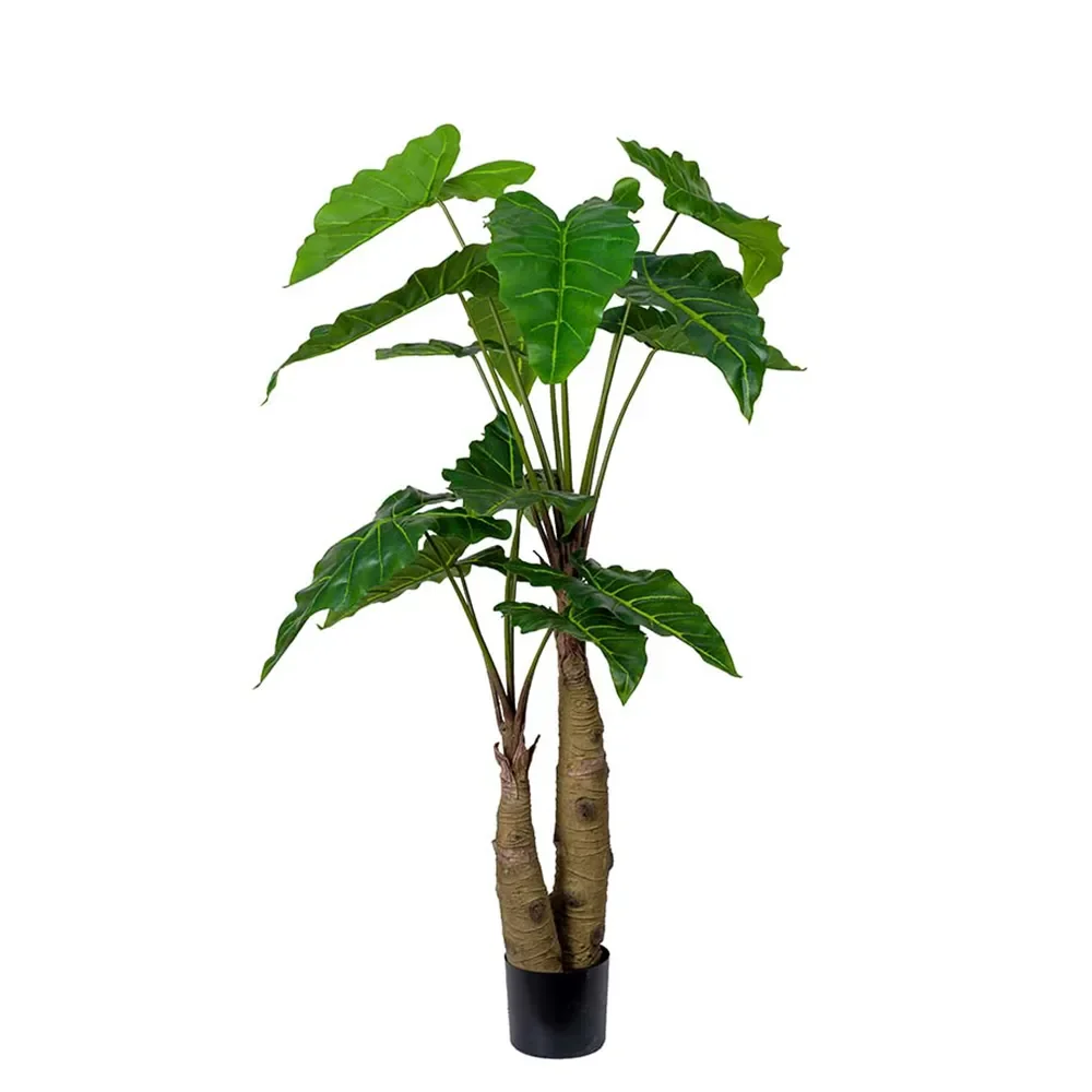 Mr Plant, Alocasia træ 150 cm