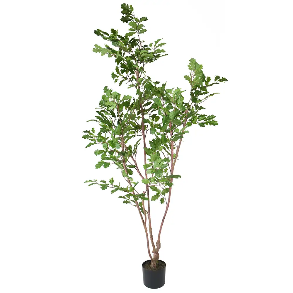 Mr Plant Eg Træ 170 cm