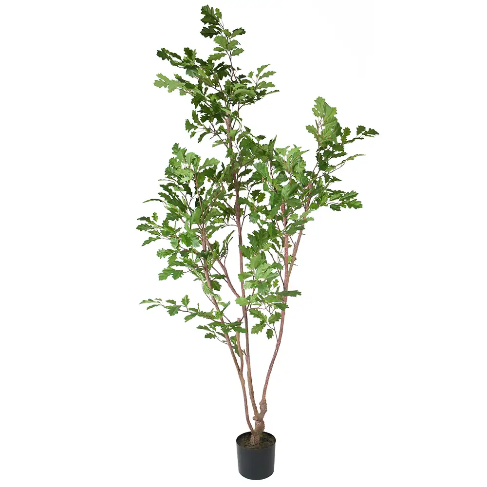 Mr Plant, Eg Træ 170 cm