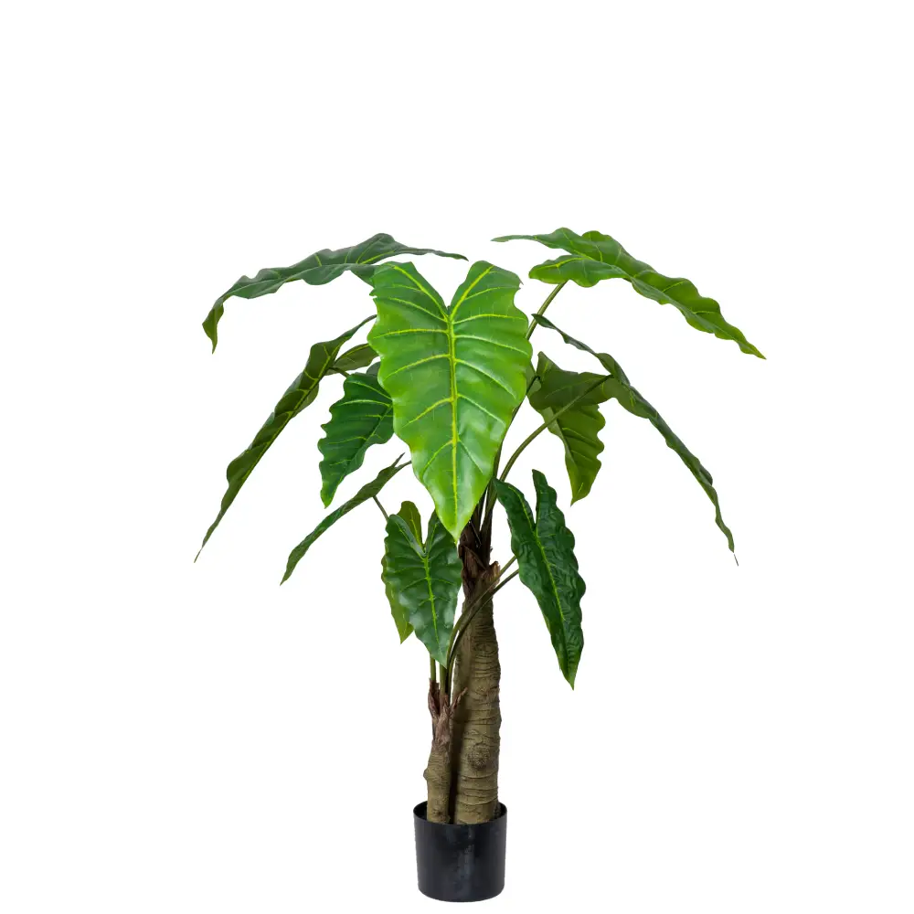 Mr Plant, Alocasia-træ 120 cm