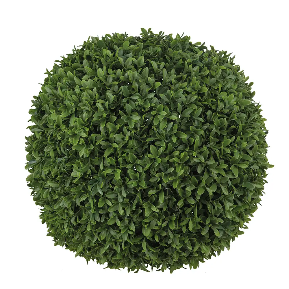 Mr Plant Buxbom Kugle Grøn 60 cm