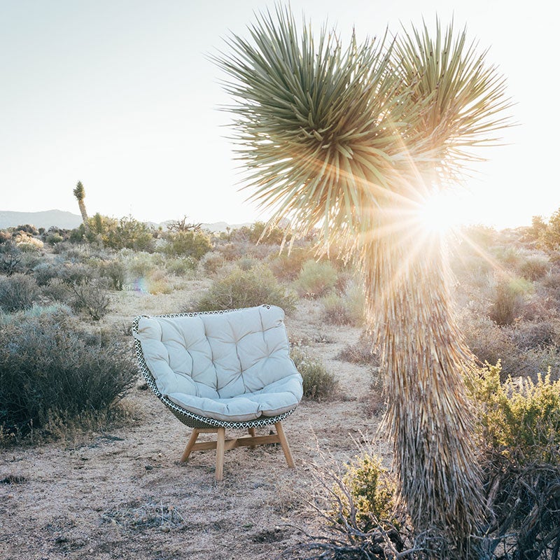 Mbrace loungestol høj KASTENNØD 