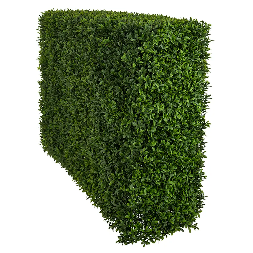 Mr Plant, Buxbom Busk 75 cm