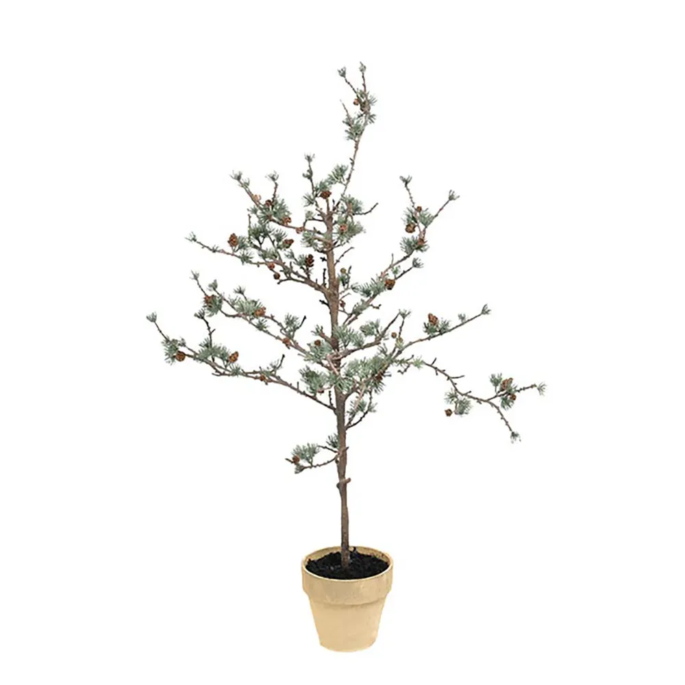 Mr Plant Lærketræ 100 cm