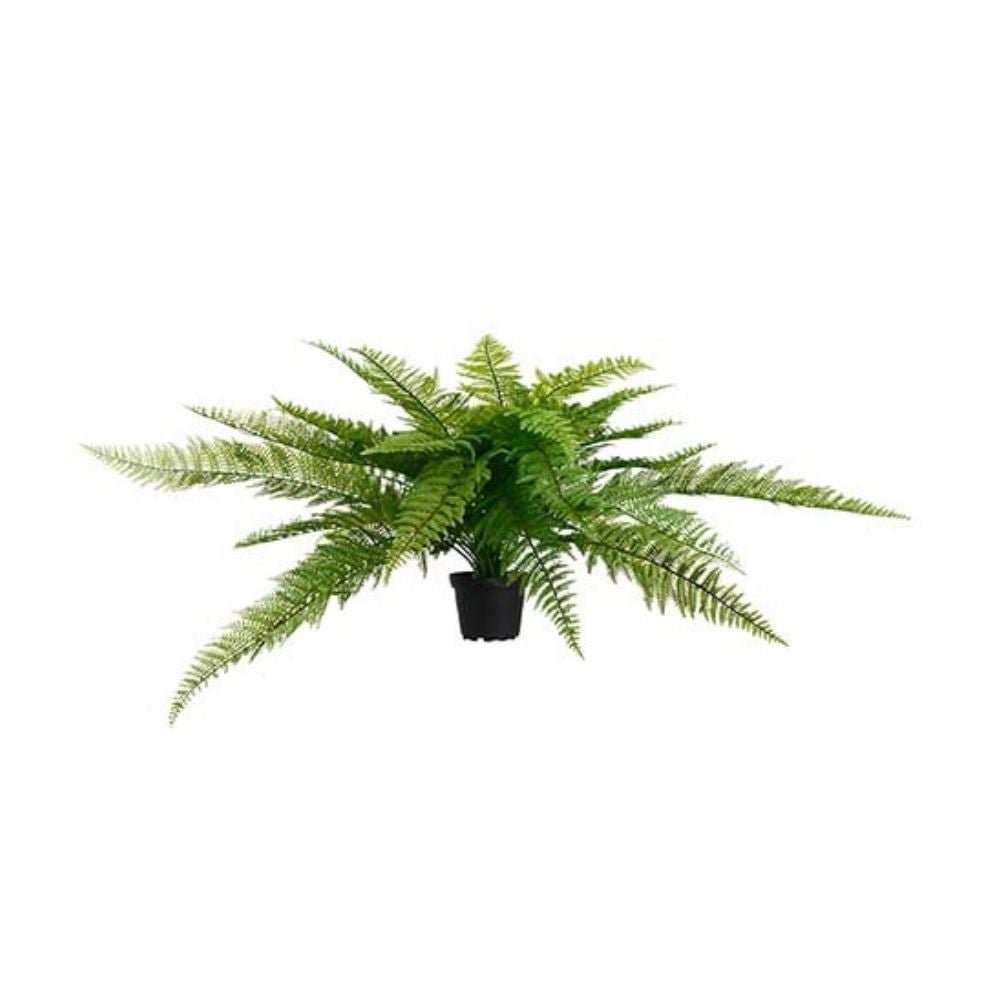 Mr Plant, Bregne Grøn 35 cm