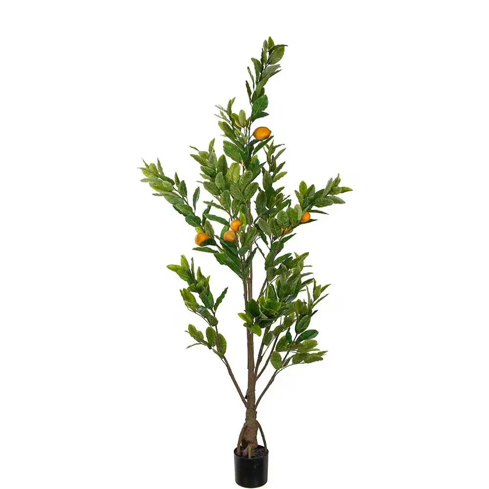 Mr Plant, Citrontræ Grøn 180 cm