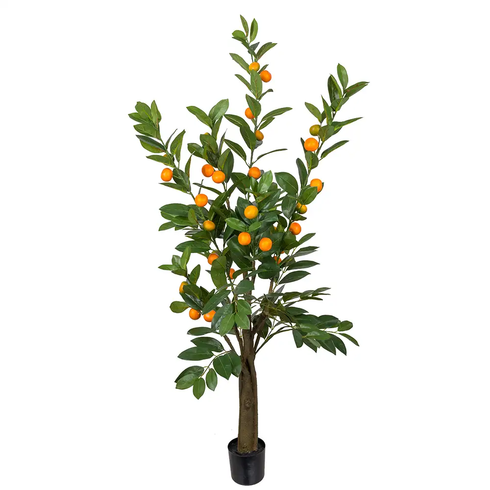 Mr Plant Citrustræ 150 cm