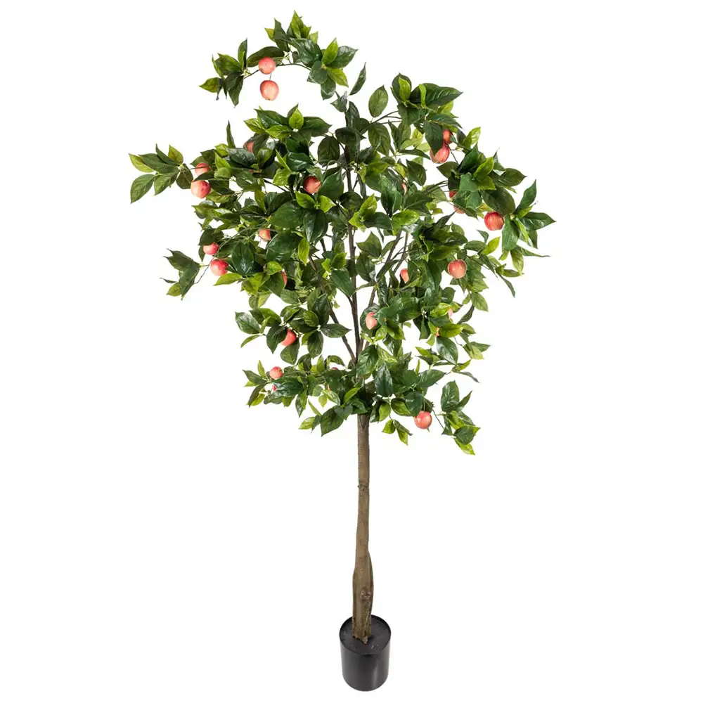 Mr Plant Æbletræ 200 cm