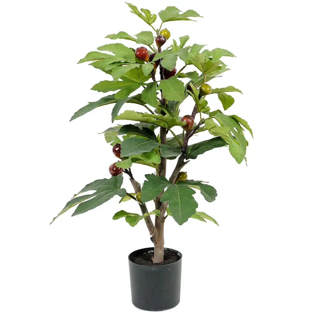 Mr Plant, Figen Potteplante 65 cm