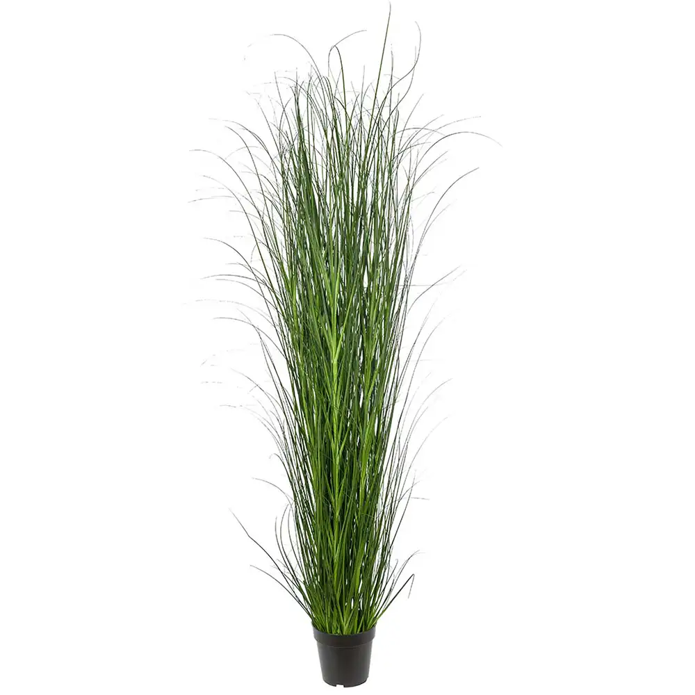 Mr Plant Græs 170 cm